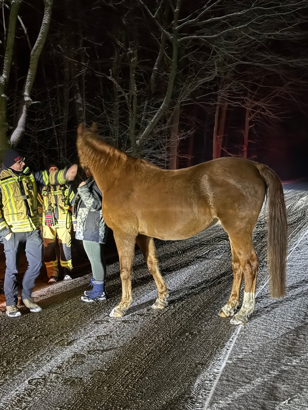 FW Datteln: Feuerwehr Datteln findet vermisste Reiterin