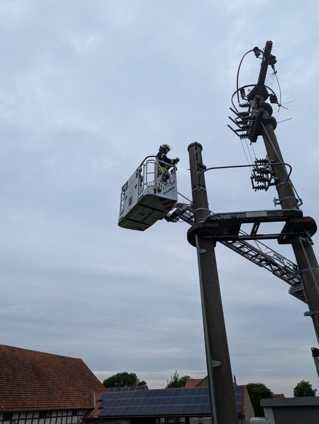 FW Lage: Tierrettung - Turmfalkenküken aus dem Nest gefallen - 15.06.2025