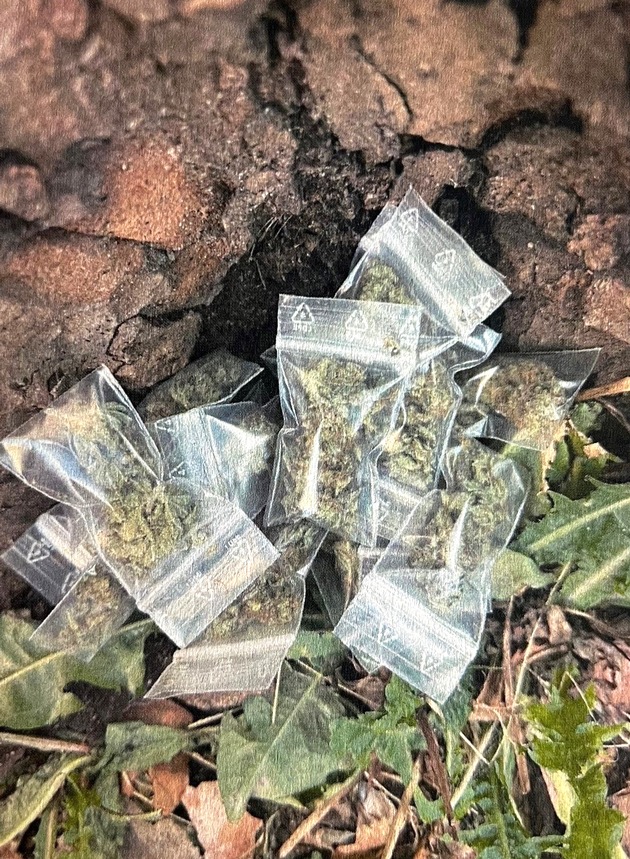 POL-D: Stadtmitte - Drogendealer festgenommen - Betäubungsmittel sichergestellt