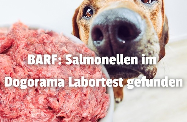 Salmonellen und E. coli in BARF durch den Dogorama-Produkttest nachgewiesen!