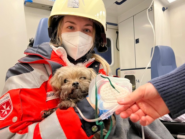 FW Sankt Augustin: Küchenbrand mit Rauchgasdurchzündung - drei Verletzte - Hund mit Sauerstoff versorgt