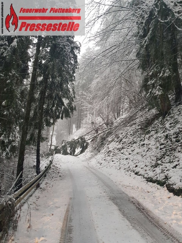 FW-PL: OT-Stadtmitte. Schneebruch sorgte für Vollsperrung. Baum kracht während Feuerwehreinsatz auf die Straße