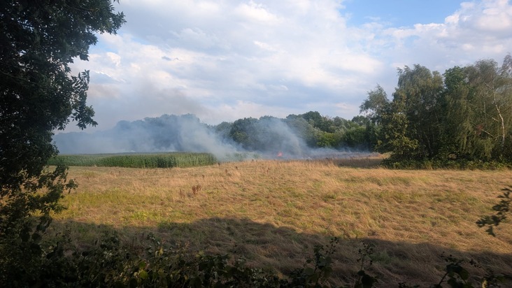 FW Bad Oeynhausen: Fl&auml;chenbrand zwischen Werre Park und Werre