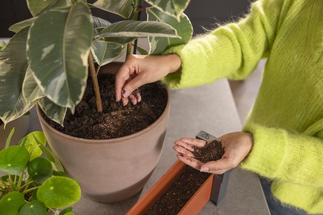 Pressemitteilung: soilkind – Der innovative Indoor-Komposter