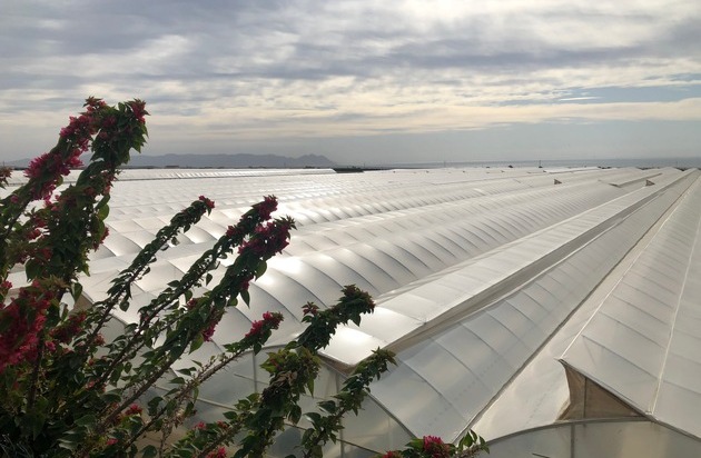 36+ Almeria Gemüsegarten Europas, Deutschland ist mit 30 prozent