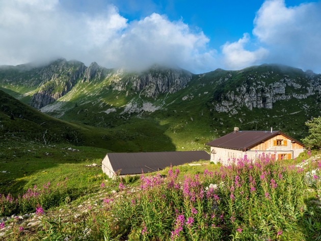 Blühendes Trentino - Die Top 4 Frühlings-Bergwiesen