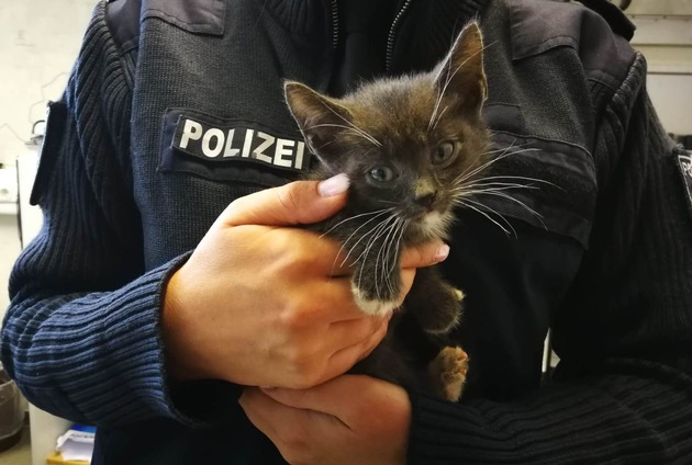 POL-LWL: Autofahrerin entdeckte ausgesetzte Katzen