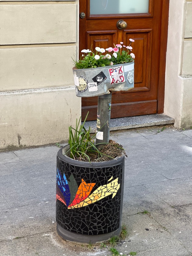 Noch bis 29. Juni: RheinEnergie f&ouml;rdert mit ihrer Initiative RheinStart Nachhaltigkeitsprojekte in der Region
