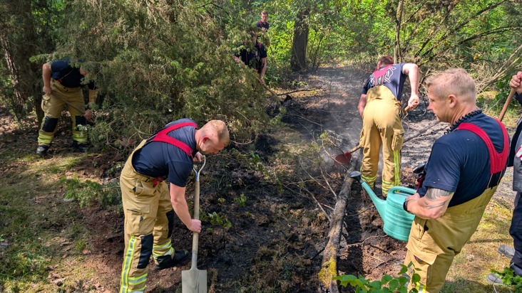 FW Dresden: Waldbrand in der Dresdner Heide
