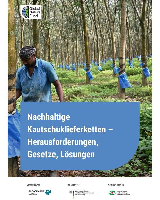 Nachhaltiger Naturkautschuk: GNF veröffentlicht Factsheet mit Handlungsempfehlungen für Unternehmen