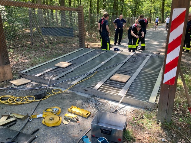 FW-F: Adlerblick und Teamgeist: Feuerwehr Frankfurt rettet Bussard &quot;Hugo&quot; aus misslicher Lage