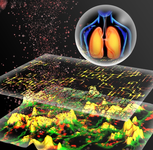 Tierversuchsfreie Methode sagt Toxizität von Nanopartikeln für sicherere industrielle Materialien voraus