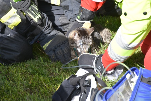 FW-DO: Feuerwehr rettet Hund und Katze aus brennender Wohnung