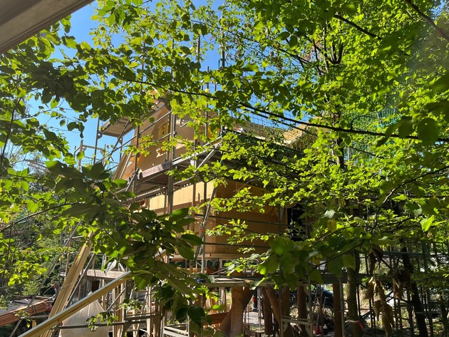Tripsdrill investiert im Natur-Resort: 20 neue Baumhäuser