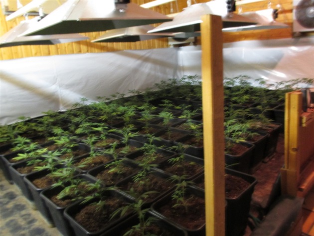 POL-REK: Zeugenhinweis führte zu Cannabisplantage - Elsdorf