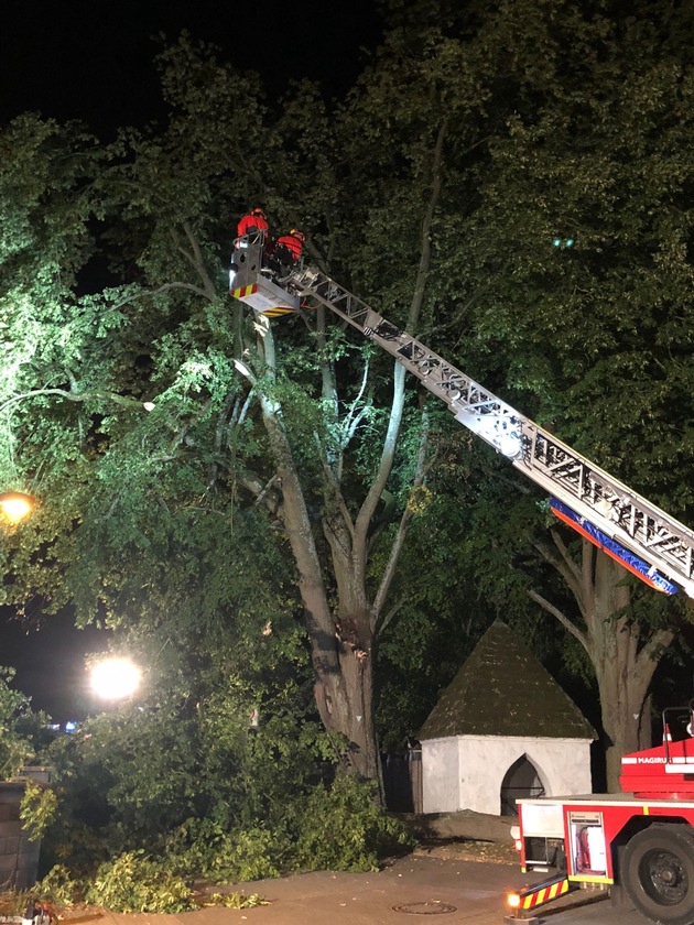 FW Lügde: Ölspur und ein Baum beschäftigen Feuerwehr