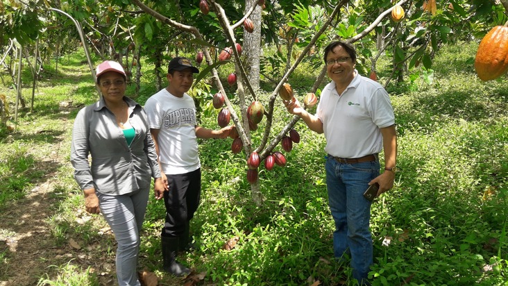 Bioanbau im Agroforst:  ForestFinance erhält Bio-Zertifikate für Kakao, Oliven und Datteln