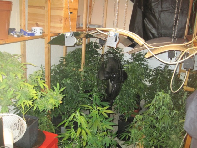 POL-GOE: (484/2012) Nach Fahrt unter Drogeneinfluss - Polizei durchsucht Wohnung mit richterlichem Beschluss und entdeckt professionelle Hanfplantage, 158 Pflanzen beschlagnahmt