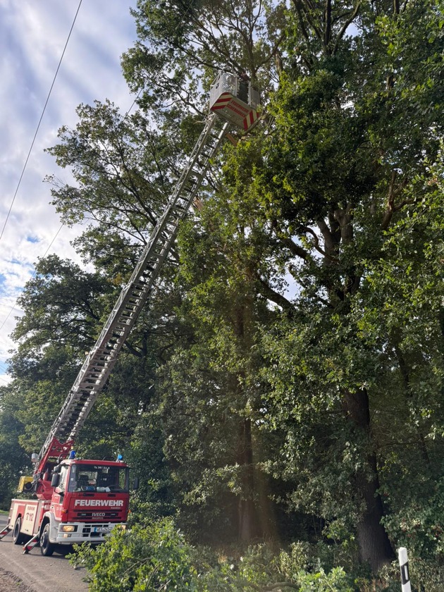 FW-Schermbeck: Einsätze FW Schermbeck