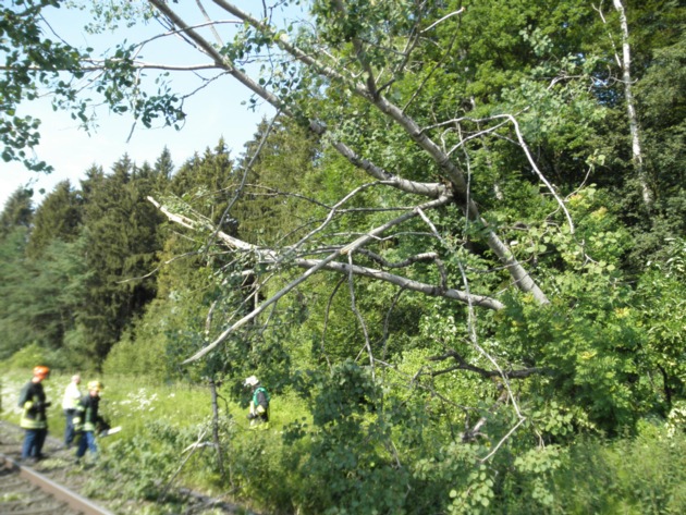 BPOLI-KN: Zug rammt Äste eines umgefallenen Baumes