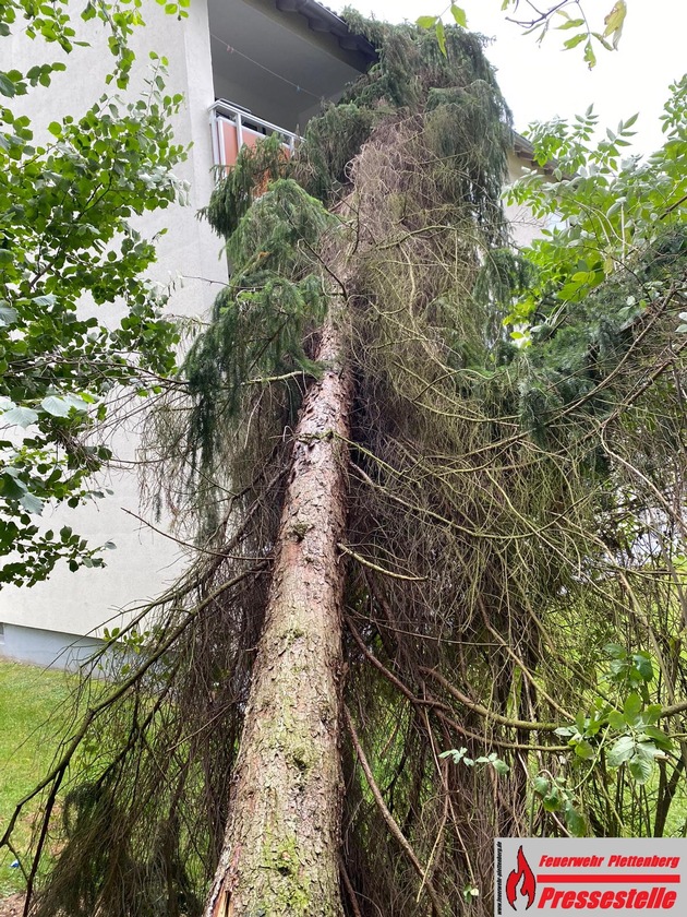 FW-PL: OT-Kersmecke, Baum stürzt um und beschädigt Wohnhaus
