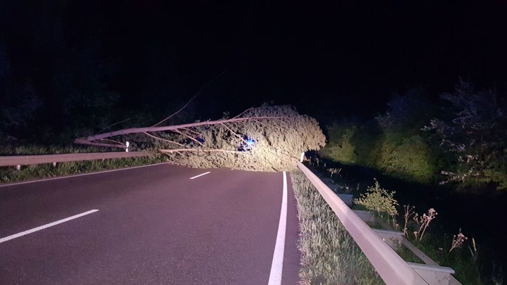 POL-PDNW: umgestürzter Baum - B 271 gesperrt