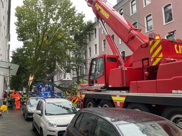 FW-DO: Abgeknickter Baum zerstört drei PKW und einen Motorroller