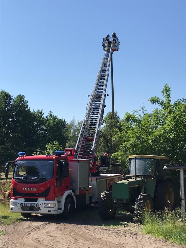 FW Celle: NABU und Celler Feuerwehr beringen Störche im Landkreis Celle
