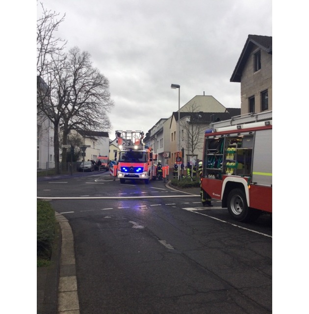 FW-BN: Zimmerbrand in Bonn-Ippendorf - Feuerwehr rettet zwei Hunde