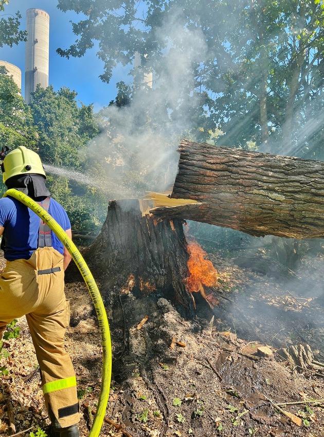 FW Grevenbroich: Feuer in hohlem Baum löst stundenlangen Löscheinsatz aus / Aufmerksame Spaziergängerin verhindert Waldbrand