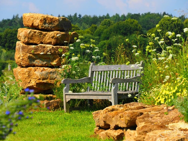Lotos, Doggen und Schildkröten im Schlosspark Dennenlohe