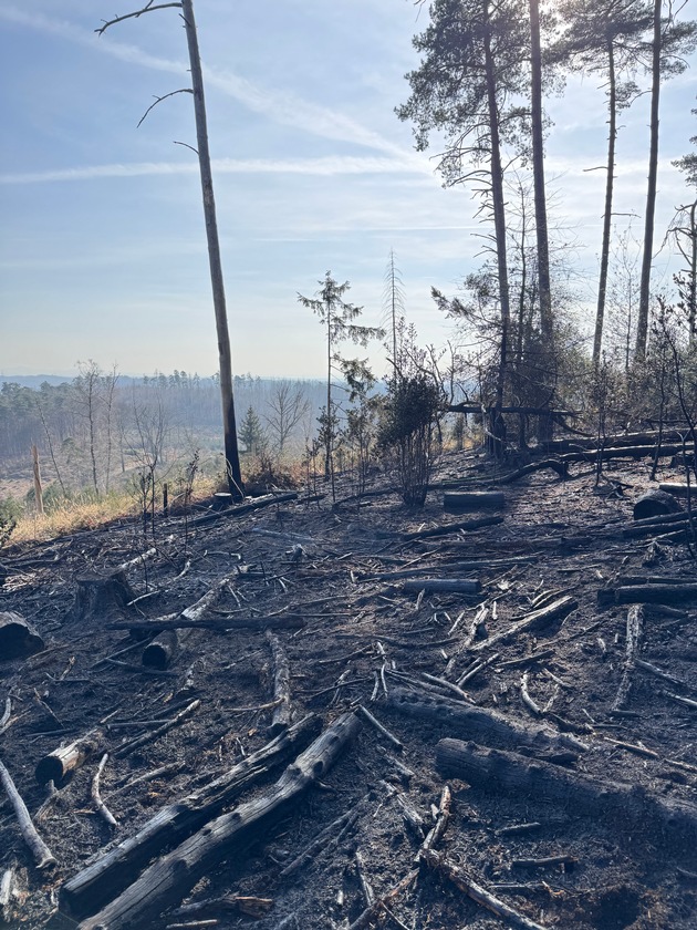 FW-GL: Waldbrand im Königsforst am Tütberg