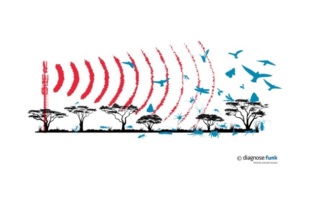 Studie zeigt: Deutlich weniger Insekten und Vögel in Nähe von Mobilfunkmast