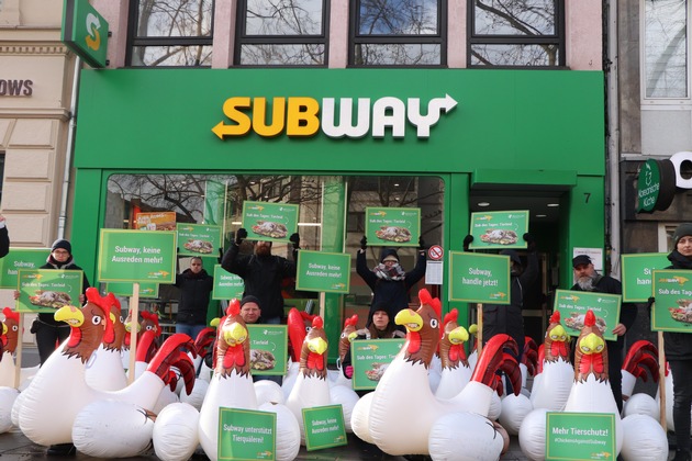 Tierschutz-Kampagne gegen Subway: Hühner-Protest erreicht Köln