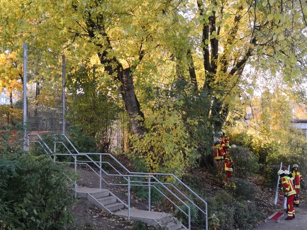 FW-Heiligenhaus: Kind aus Baum in 2 Meter Höhe befreit. (Meldung 28/2018)
