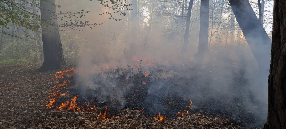 FW Lüchow-Dannenberg: Erster größerer Waldbrand in Nordost-Niedersachsen in diesem Jahr +++ Passant entdeckt Rauchwolke von der anderen Elbseite aus +++ Löscharbeiten beschäftigten über 70 ehrenamtliche Einsatzkräfte
