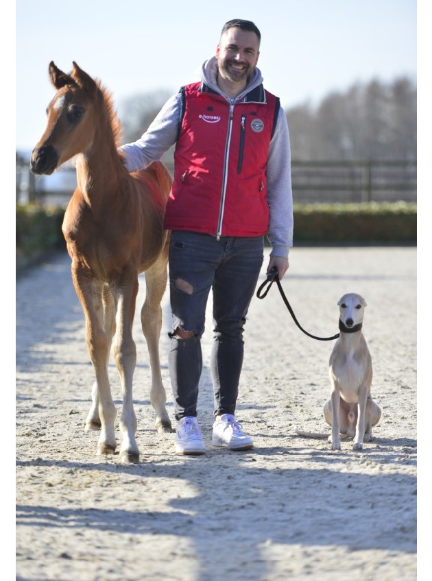ehorses: Fohlen sind die Shootingstars des Pferdemarkts