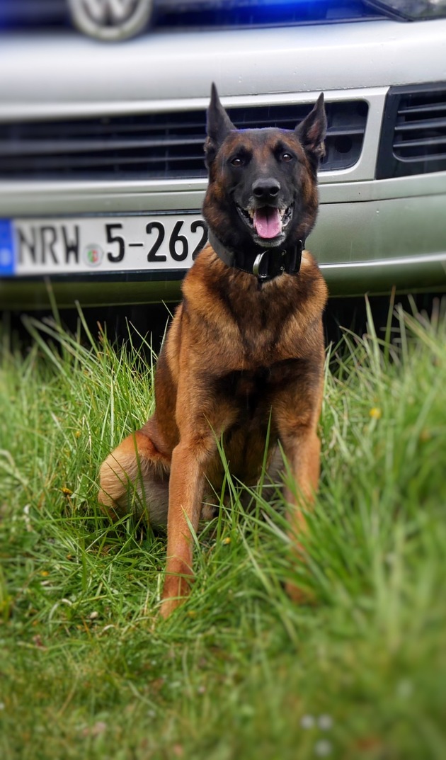 POL-HA: Hagener Diensthunde packen Täter auf der Flucht