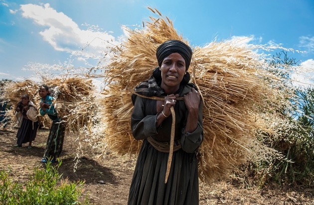 Stiftung Menschen für Menschen: 15. Oktober: Internationaler Tag der Frauen in ländlichen Gebieten / Frauen sind entscheidend für die ländliche Entwicklung in Äthiopien