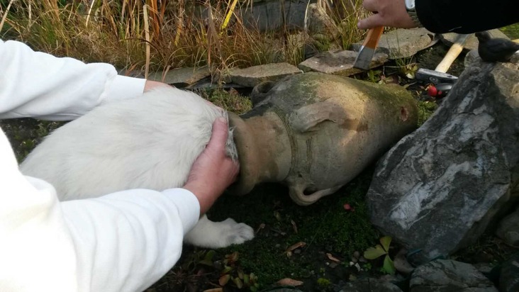 FW-E: Schäferhundwelpe steckt im Tonkrug fest, Hammer und Meißel vor