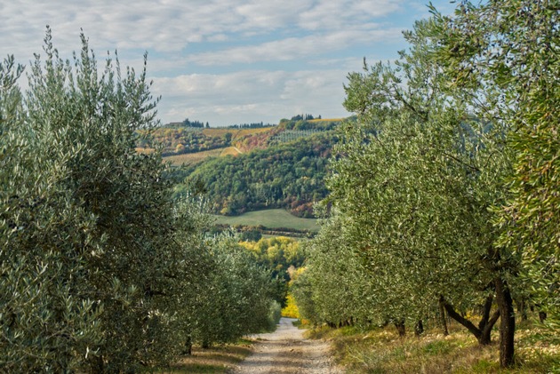Neue Routen und Reisetipps für die Toskana zwischen Nachhaltigkeit, Natur, Kunst und Genuss
