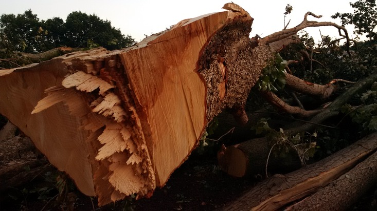 FW-KLE: Gewitter mit Sturmböen über Bedburg-Hau / Stromausfälle in Teilen der Gemeinde