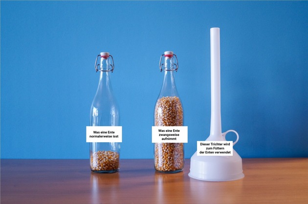 Lieber Faux gras als Foie gras