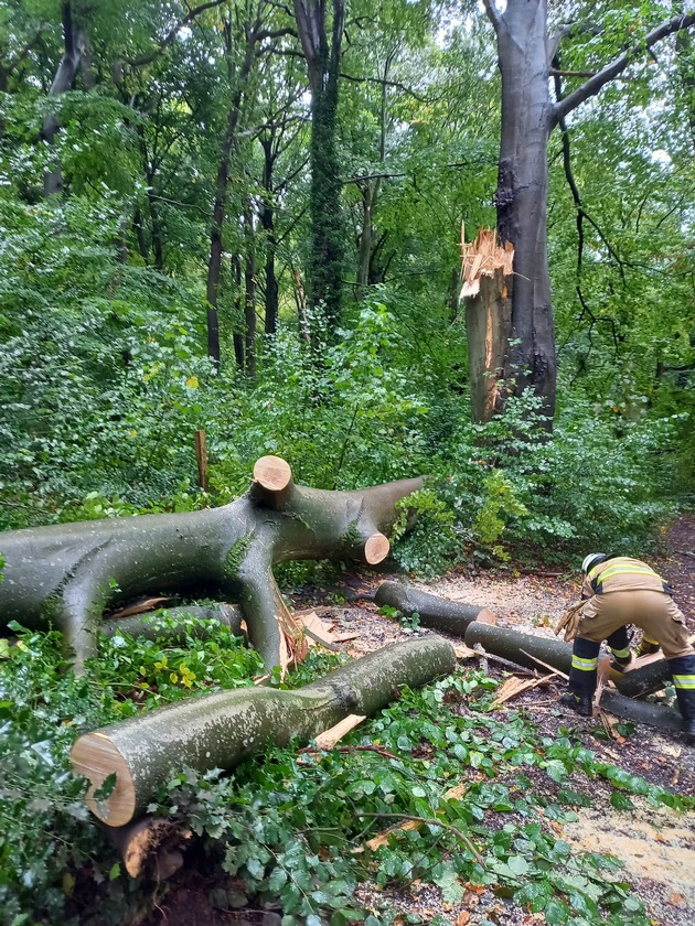 FW-EN: Mehrere Einsätze am Wochenende - Baum blockierte Straße Kemnade