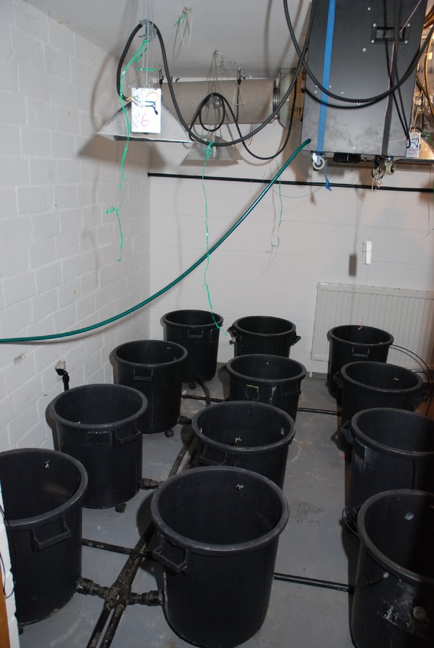 POL-WL: Cannabisplantage im Keller entdeckt