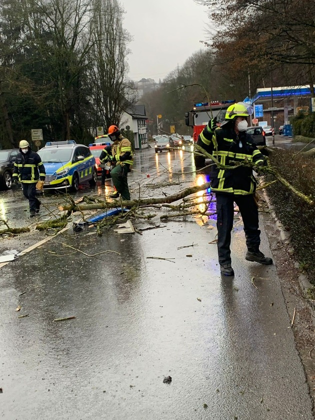 FW-EN: Baum fiel auf mehrere PKW und einen Linienbus