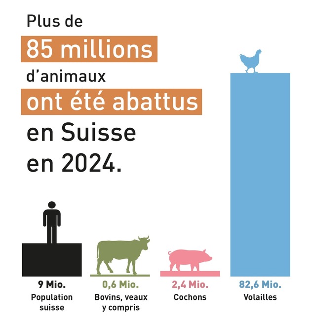 Meat Exhaustion Day: Plus de 85 millions d’animaux abattus en Suisse en 2024
