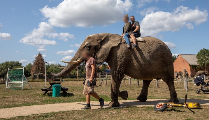 Tourisme avec les éléphants: des options sans exploitation