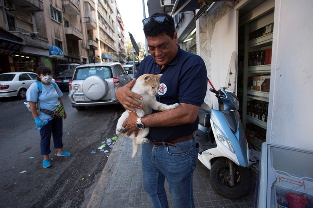 VIER PFOTEN rettet Tiere aus den Gebäudetrümmern in Beirut