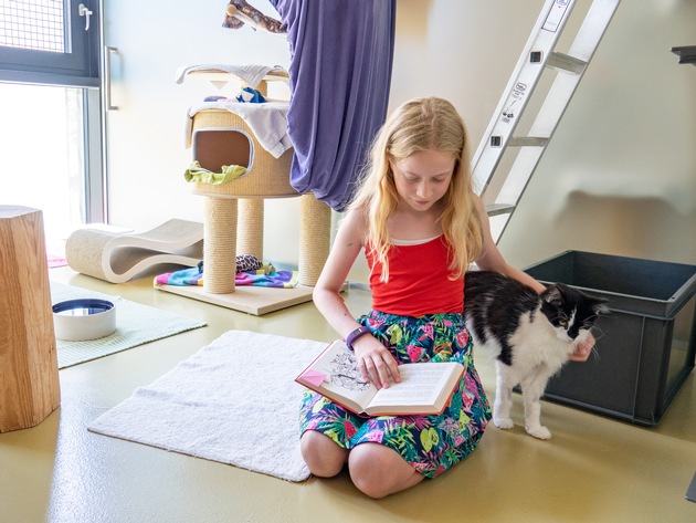Beim Zürcher Tierschutz lesen Kinder Katzen vor